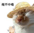 官宣！广州社保大调整！